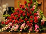 022612_80.jpg - 424kb