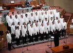 IMG_9209-copy.jpg - 116kb